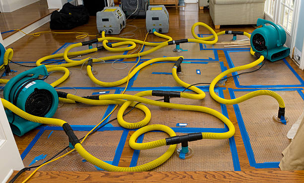 Professional Crawl Space Water Removal technician working in Sherman, IL
